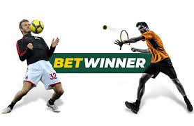 BetWinner Contact Information - Everything You Need to Know