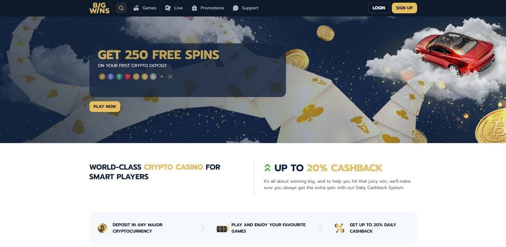 BigWin Casino site